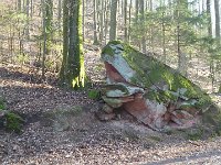 SORTIE CHATEAU FALKENSTEIN ROCHER DU FALKENBERG 08 02 2019 29